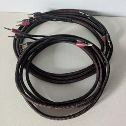 Audioquest 10ft Rocket 33 bi-wire Speaker cables