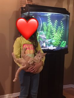 Selling fish tank complete