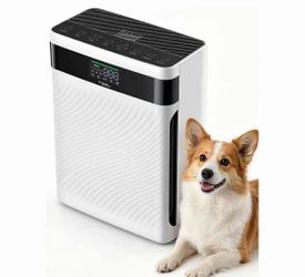 Sealed Air Purifier for Home with Pets