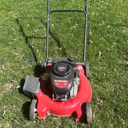 20” Push Mower