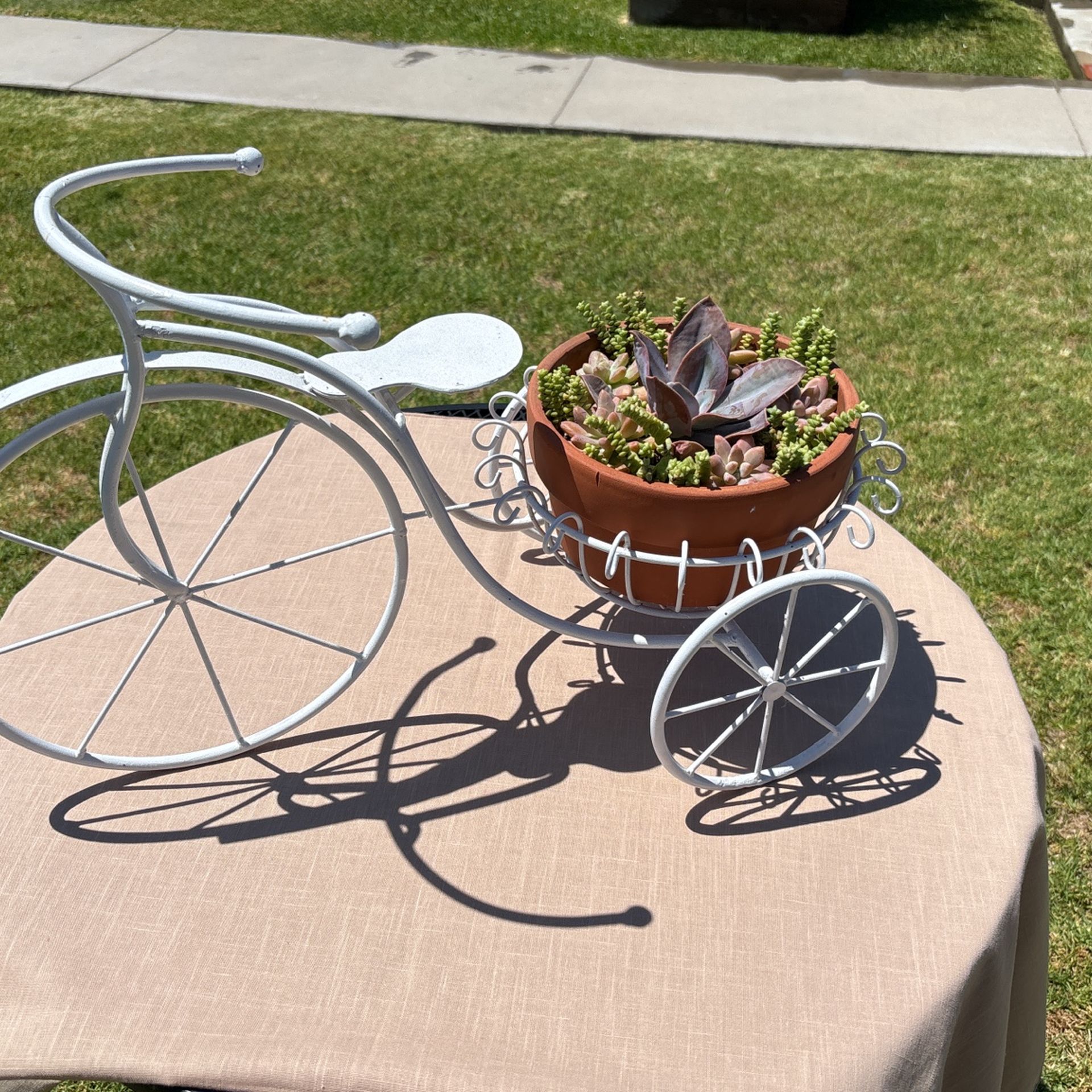 Bicycle Plant Stand