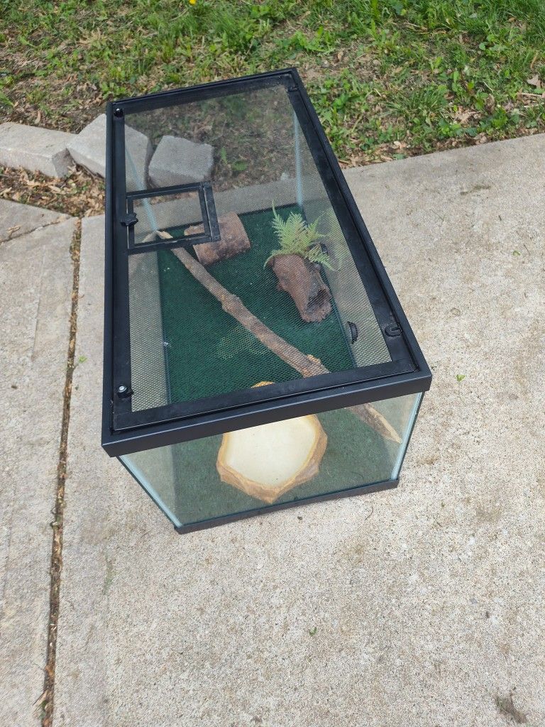 Snake Or Reptile Tank