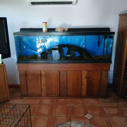 120 Gallon Fish Tank With Or Without Fish