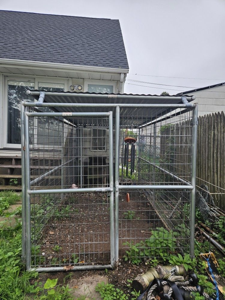 Dog Kennel