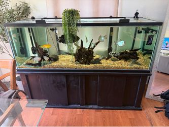 180 gallon fish tank aquarium