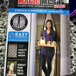 Door Mesh