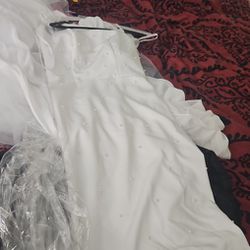 Wedding Dress  & Veil