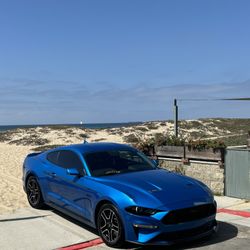 mustang wheels for trade