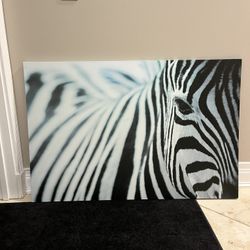 Zebra Canvas