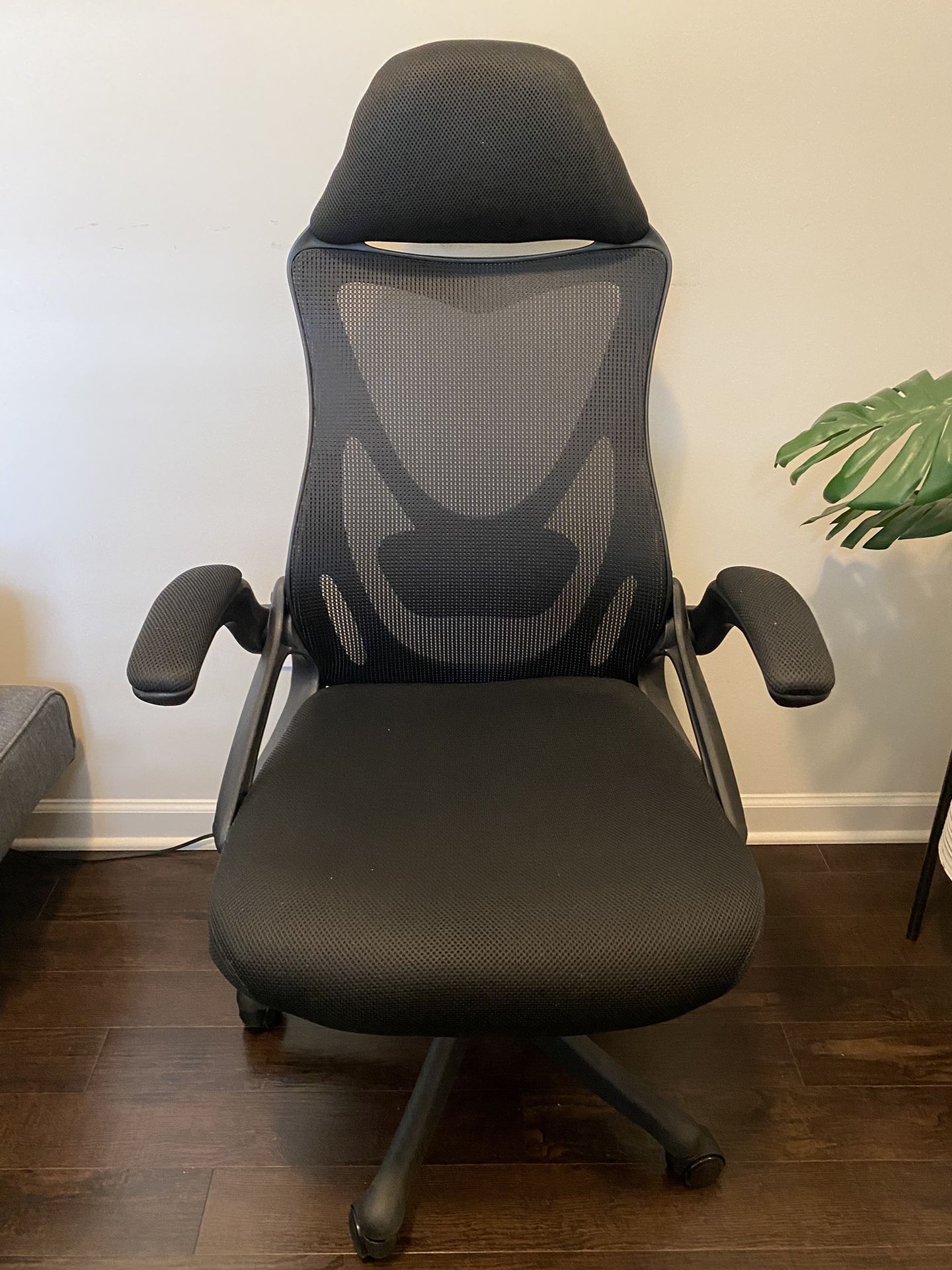 Ergonomic Office Chair (Black)