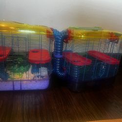 Hamster Cage
