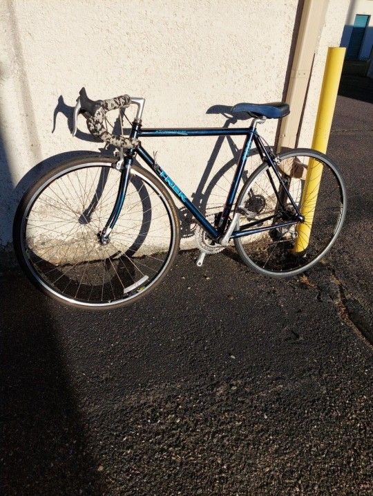 Trek 1100 Aluminum Road Bike