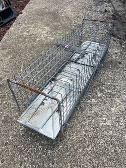 Animal trap