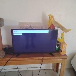 32in Toshiba Flat Screen 40obo