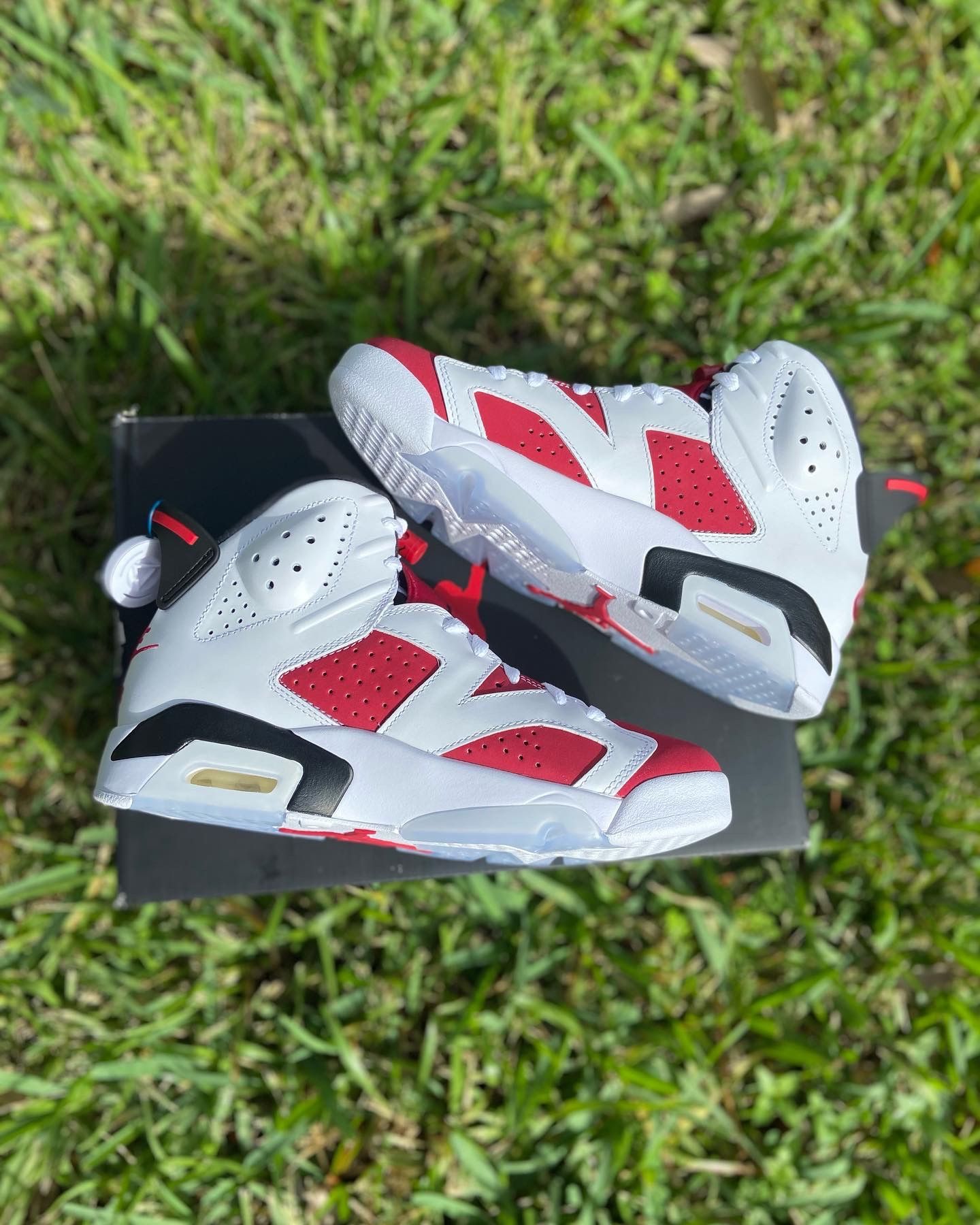 NEW Air Jordan Retro 6 Carmine Size 7 Men - infinityhomeware.co.za display picture 1