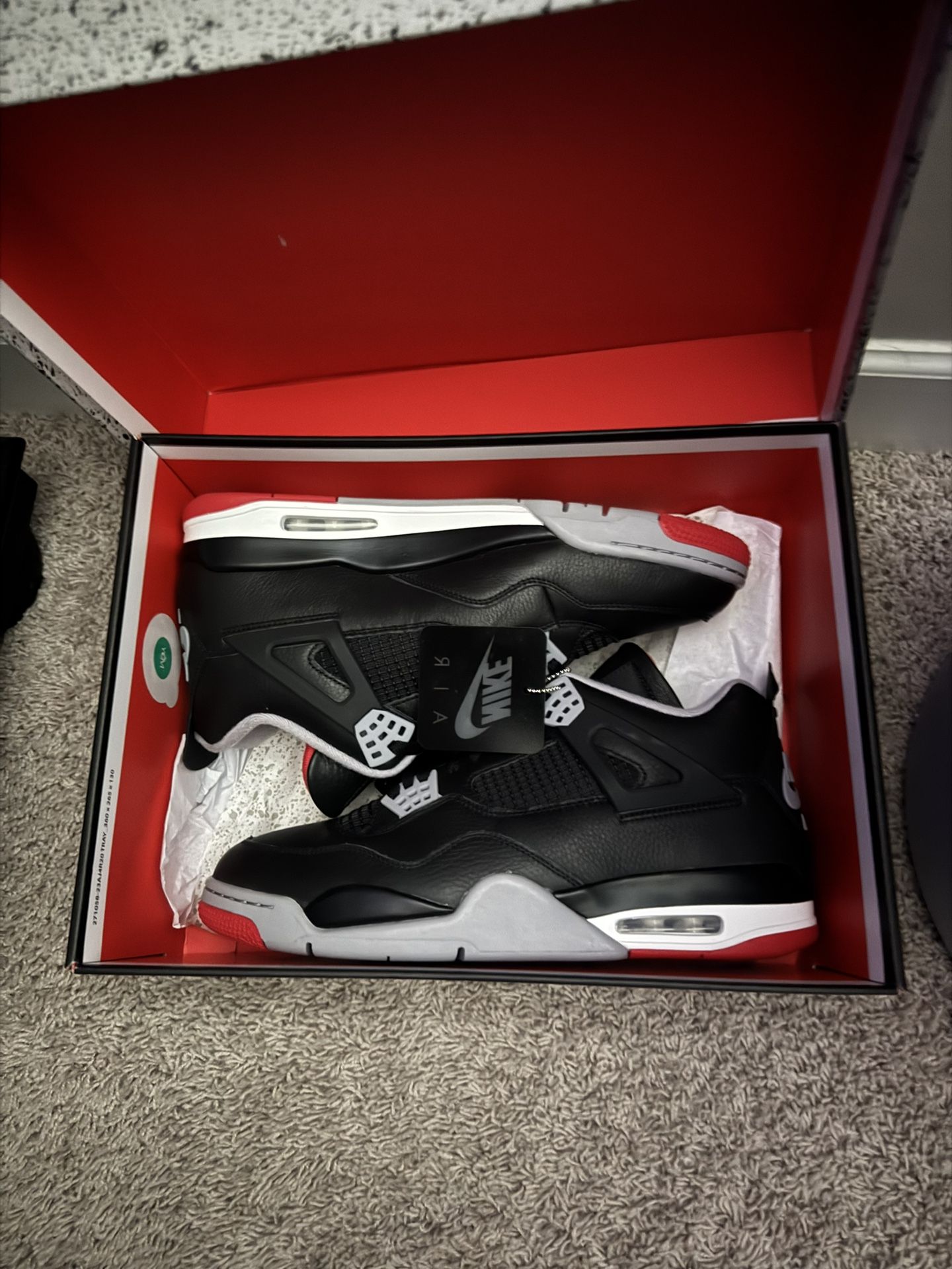 Jordan 4 Remained Size 13