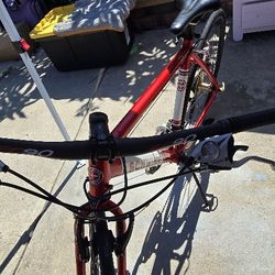 Street Bike 