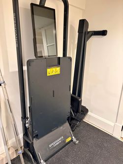 Speediance  gym monster
