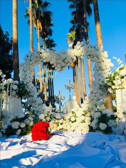 White flowers, everything in photo