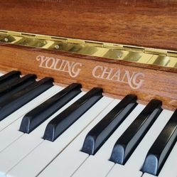 Young Chang Upright Piano In Mint Condition