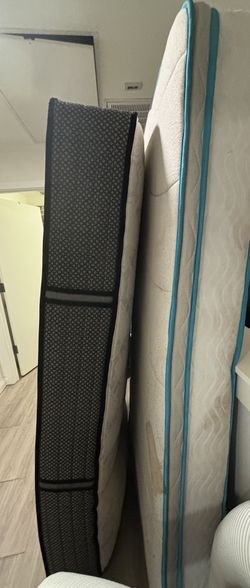 Twin Mattress No Animals Or Smoke 