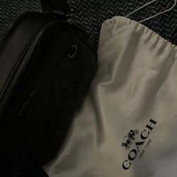 coach bag brand new no box just dust bag