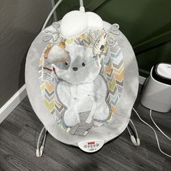 Fischer Price Bouncer Chair 