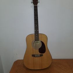Guitar Tylar Mountain
