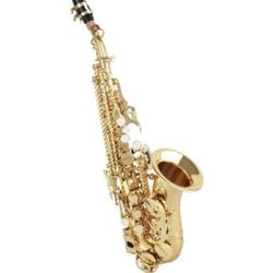 Curved Soprano Saxophone BRAND NEW SAX