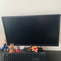 Dell Monitor 