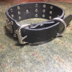 Collar Para Perro Interesado Preguntar Por Precio,ask For Price.