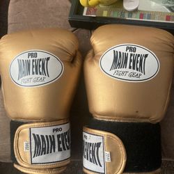 Pro Main Event Fight Gear 14 Oz Gloves 