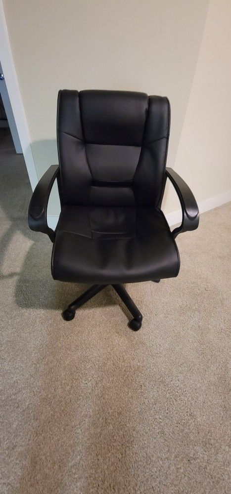 Adjustable Leather Chair 