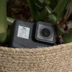 Go Pro
