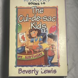 The Cul-de-Sac Kids by Beverly Lewis 1993 Books 1-6  In Good Conditions