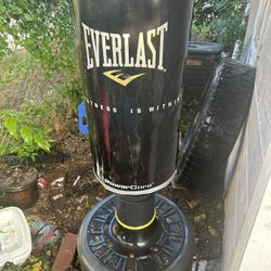 Everlast Standing Punching Bag