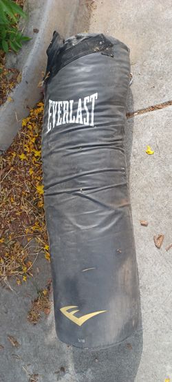 Everlast Punching Bag - FREE