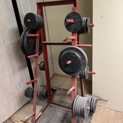 Workout Equipment 