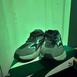 Grey Pumas
