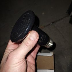 Ceramic Heat Lamp Bulbs 2 Pack