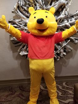 Teddy Bear Costume
