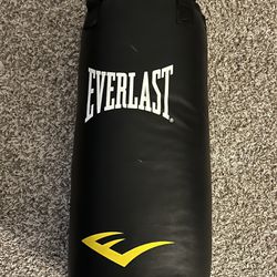 Everlast punching Bag 