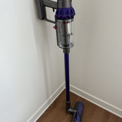 Dyson Vacuum $300