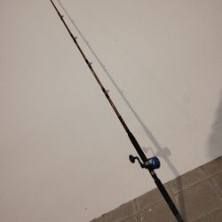 Real Nice Ugly Stik Tiger With Avet Fishing Reel JX6/3 USA