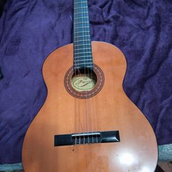 Acoustic Guitar 