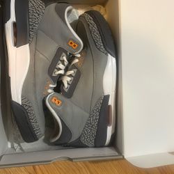 Jordan 3s Cool Gray 