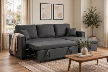 Alexent Dishaan Convertible Sleeper Sectional Sofa