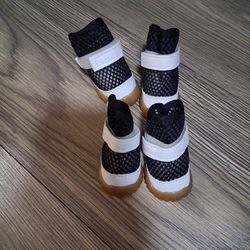 Botitas Para Perrito Size 3nuevas.