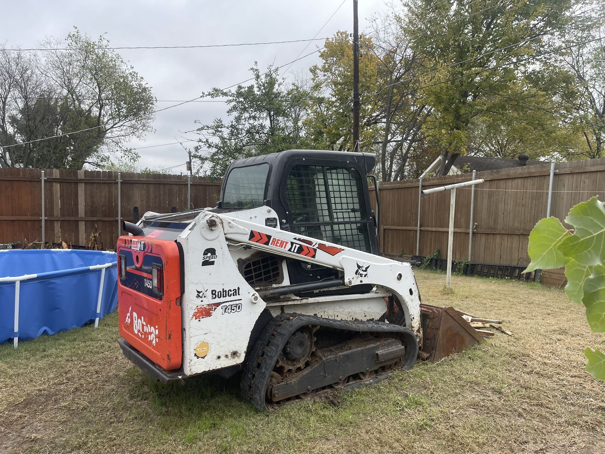 Bobcat 