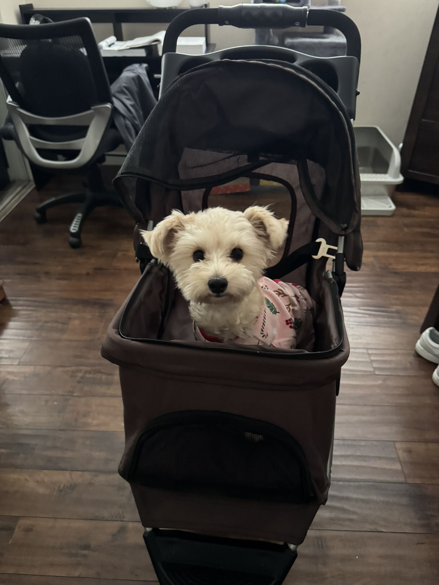 Dog Stroller
